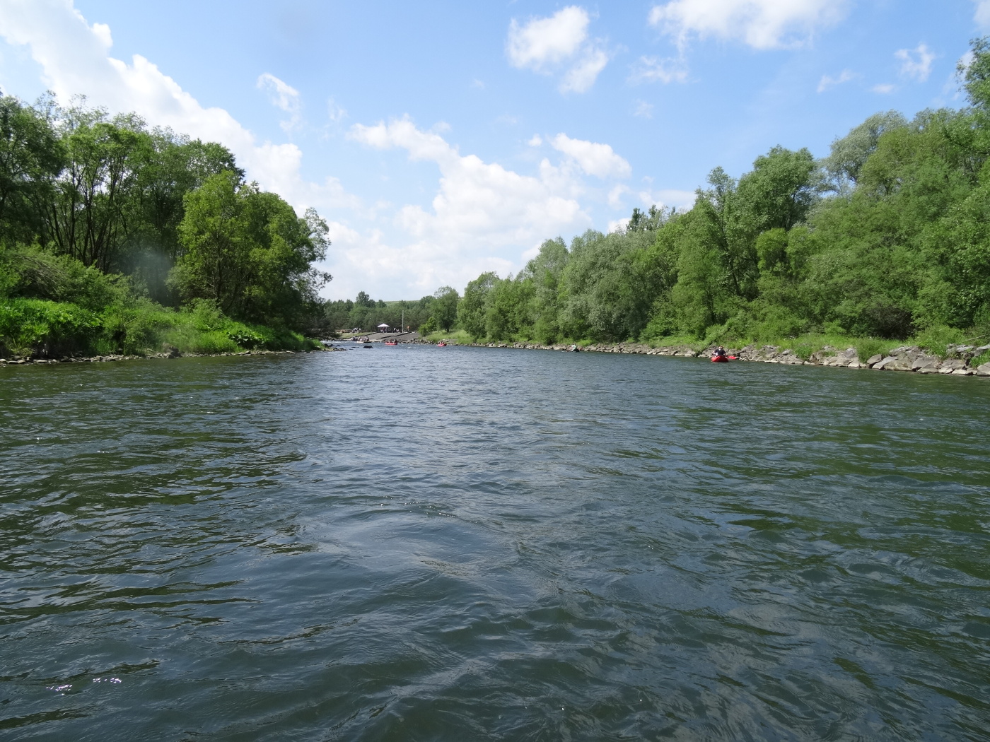 img00013.jpg