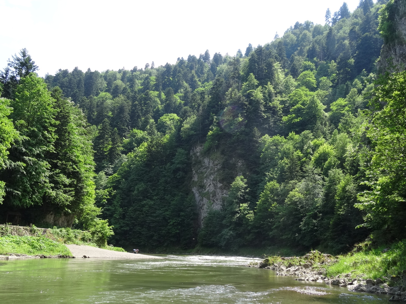 img00048.jpg
