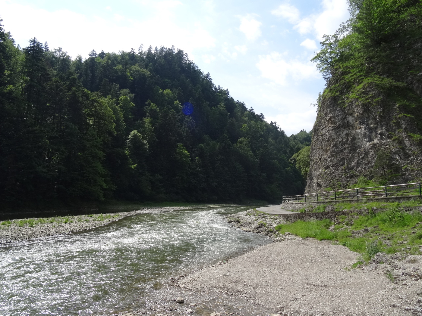 img00064.jpg
