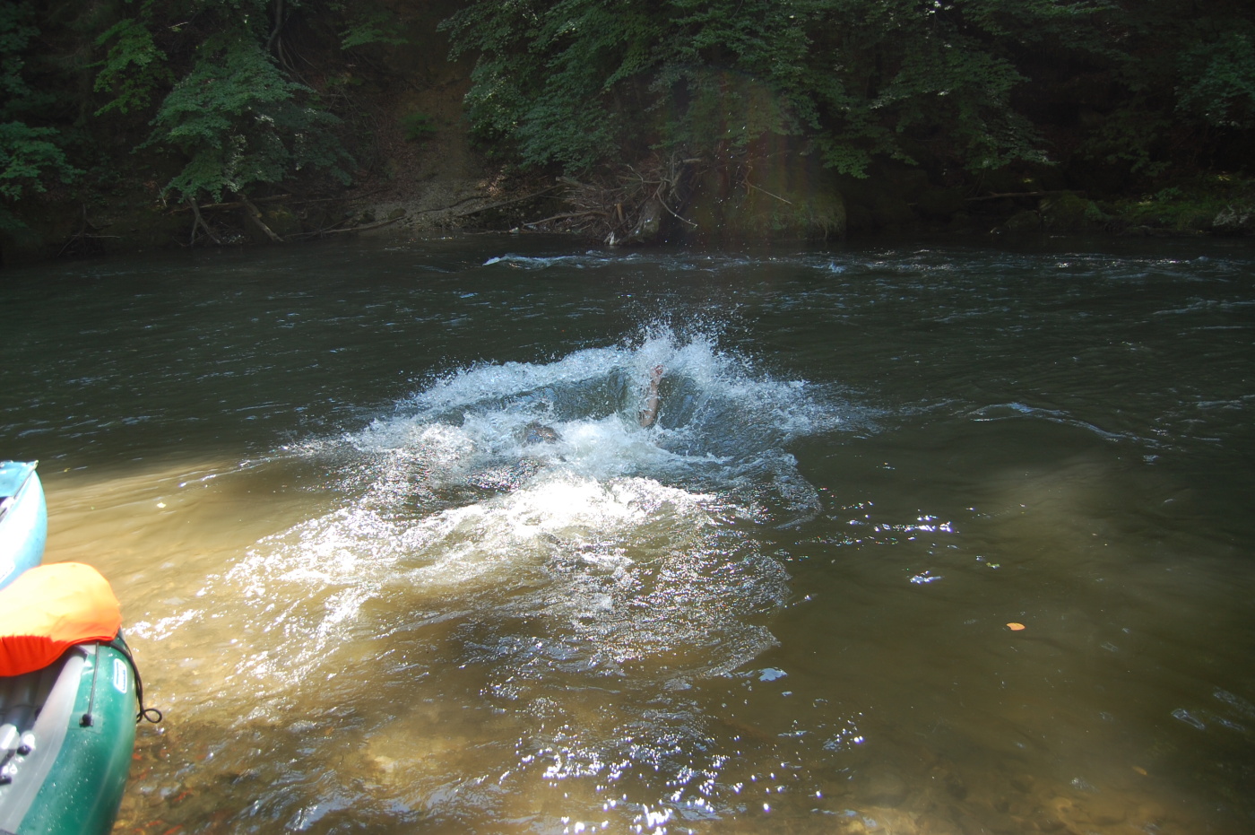 img00124.jpg
