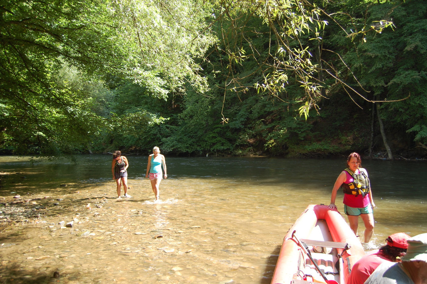 img00132.jpg