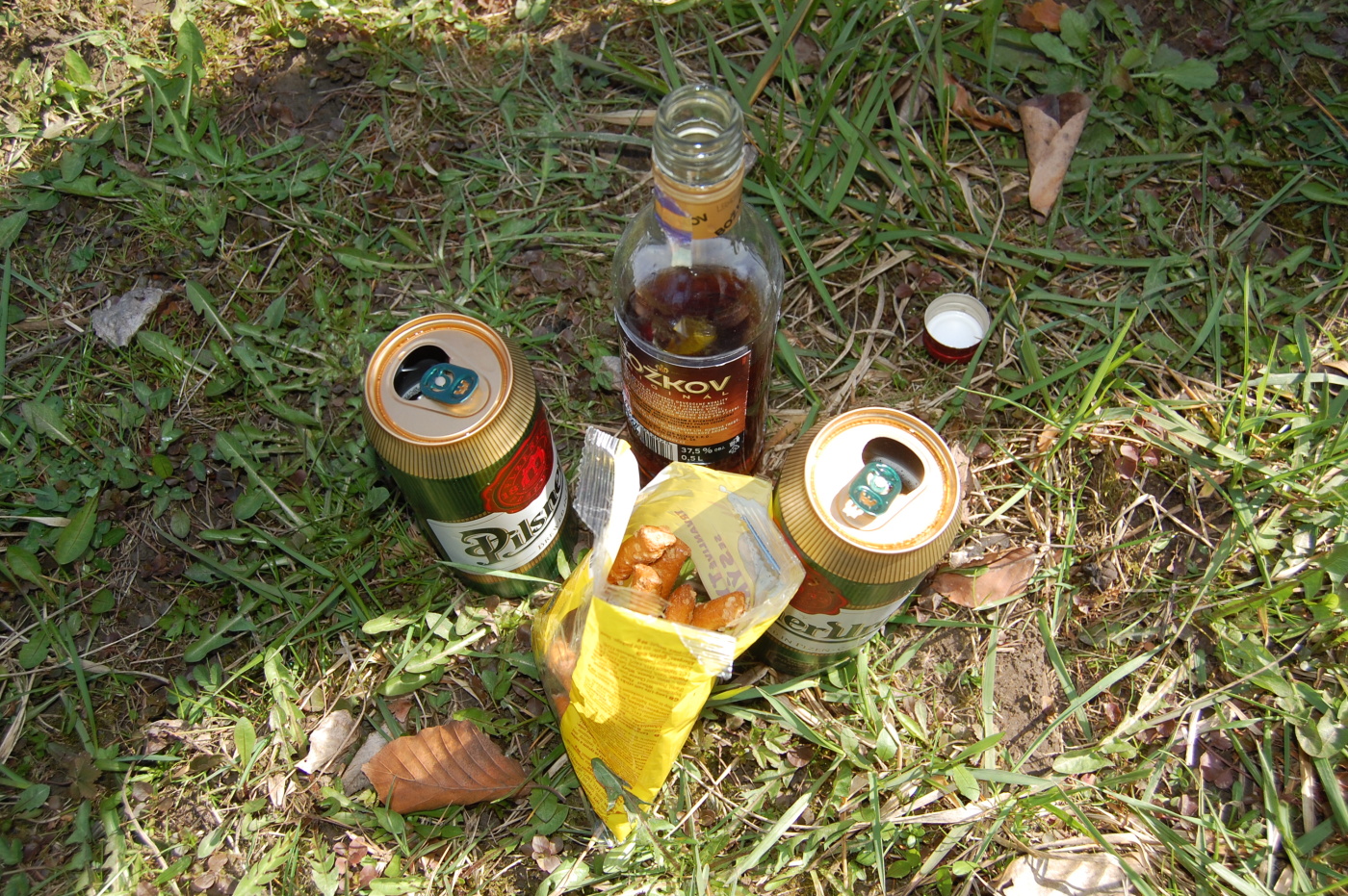 img00017.jpg