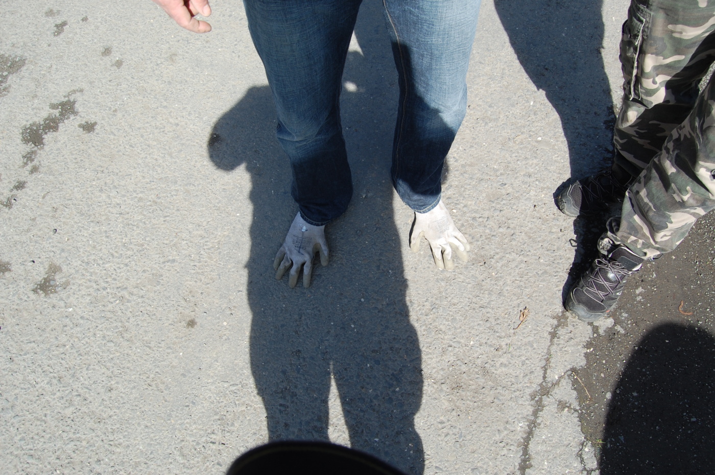 img00019.jpg