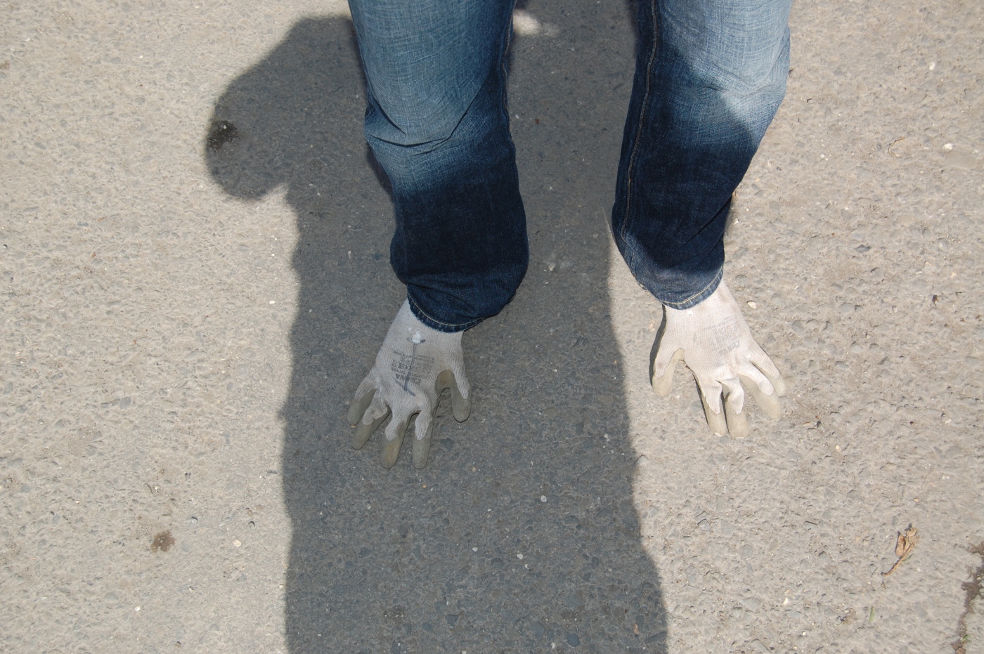 img00020.jpg