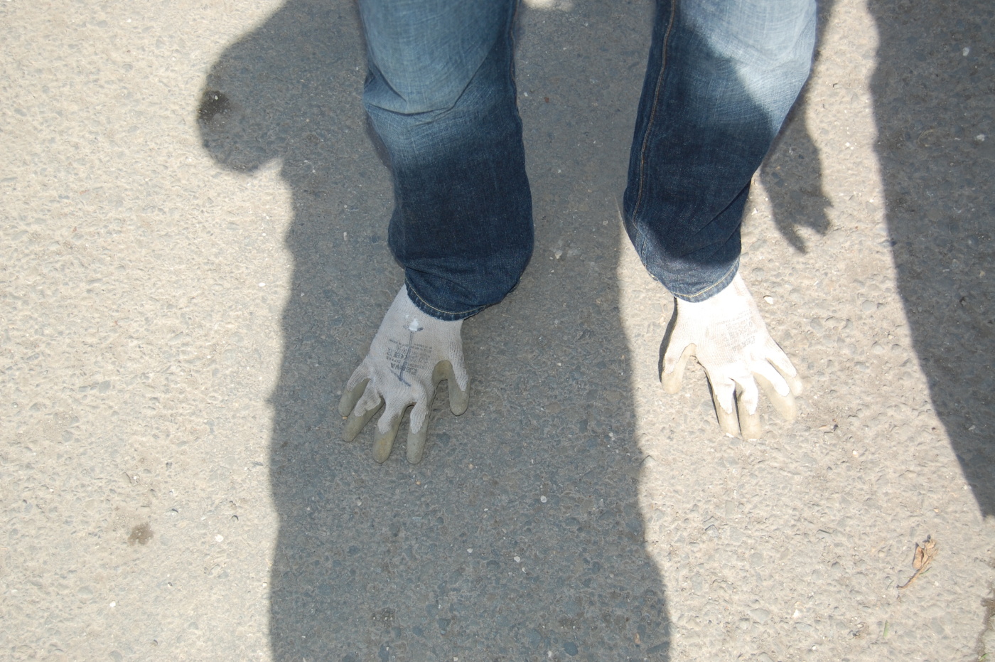 img00022.jpg