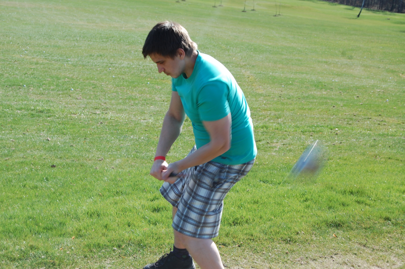 img00113.jpg
