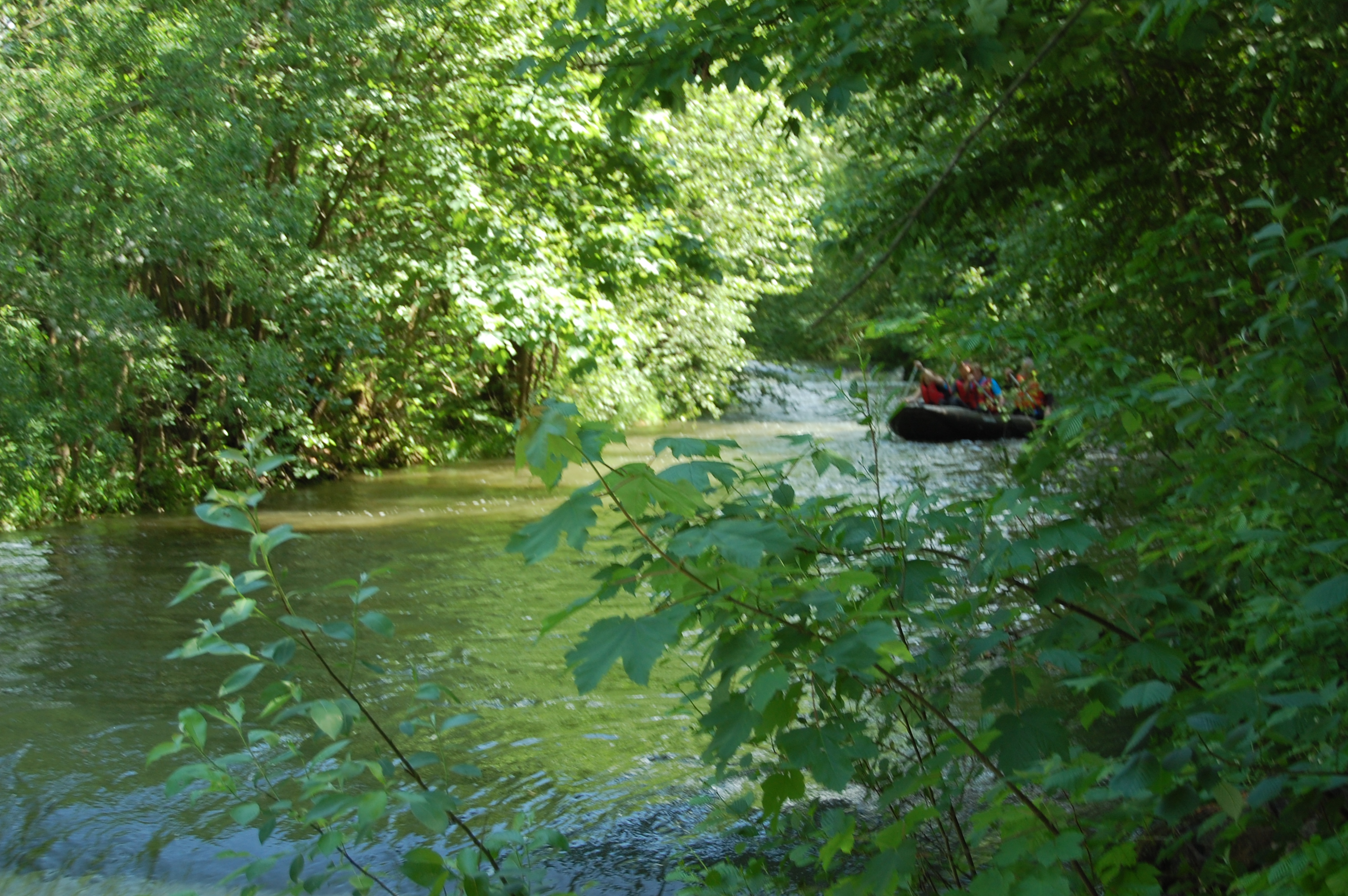img00031.jpg