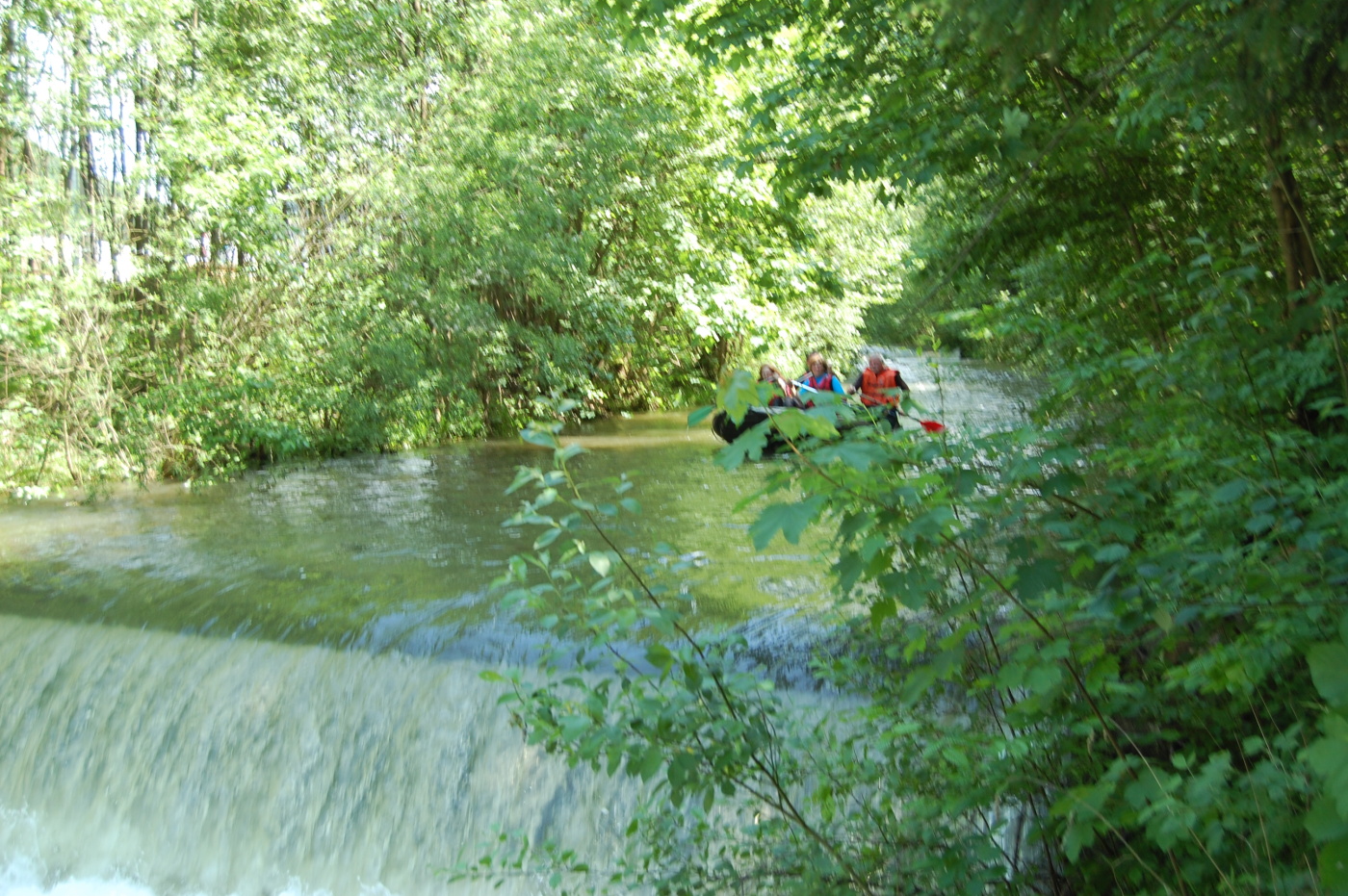 img00033.jpg