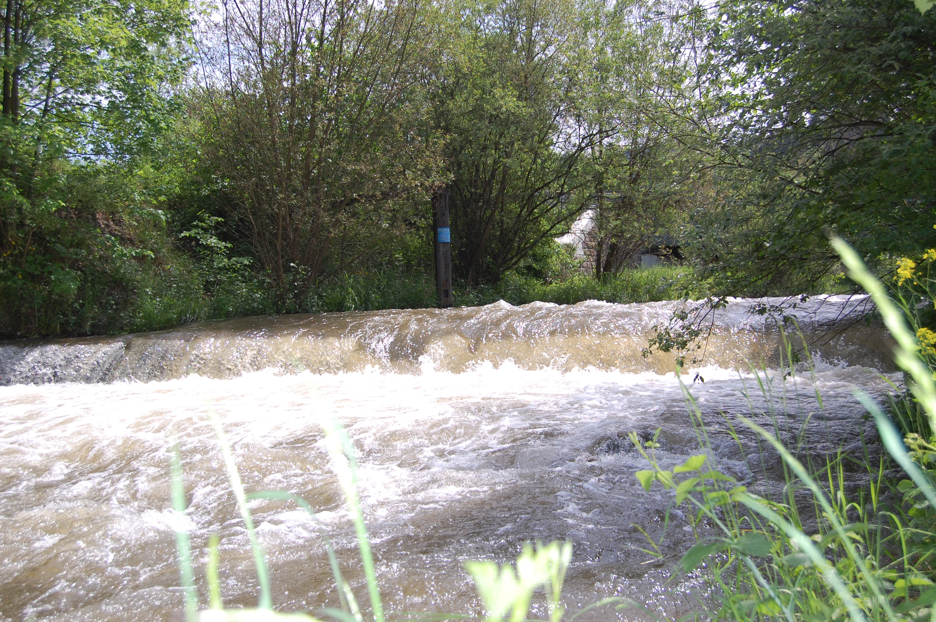 img00044.jpg