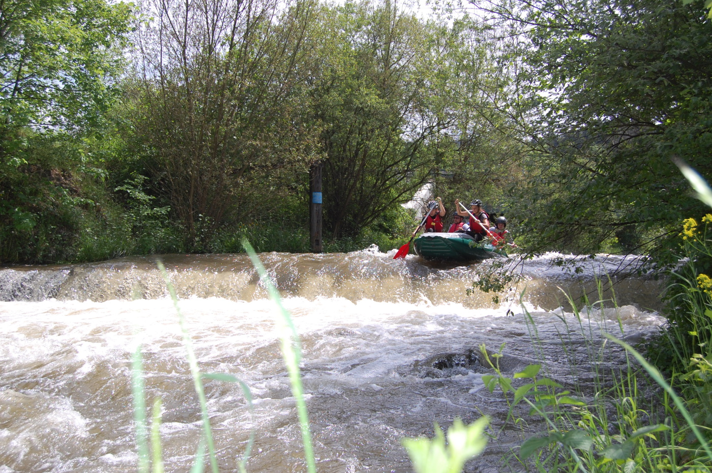 img00049.jpg