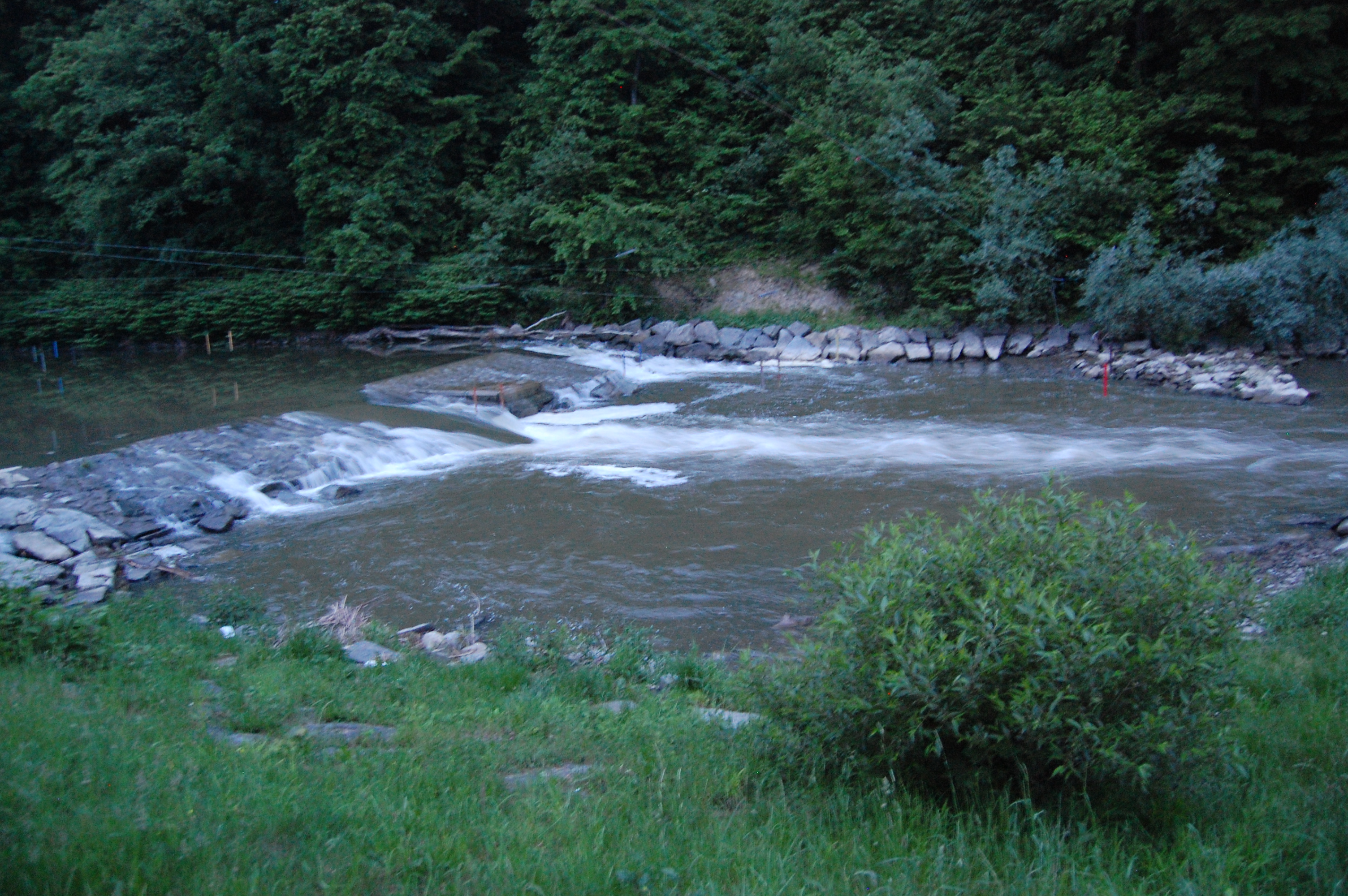 img00075.jpg