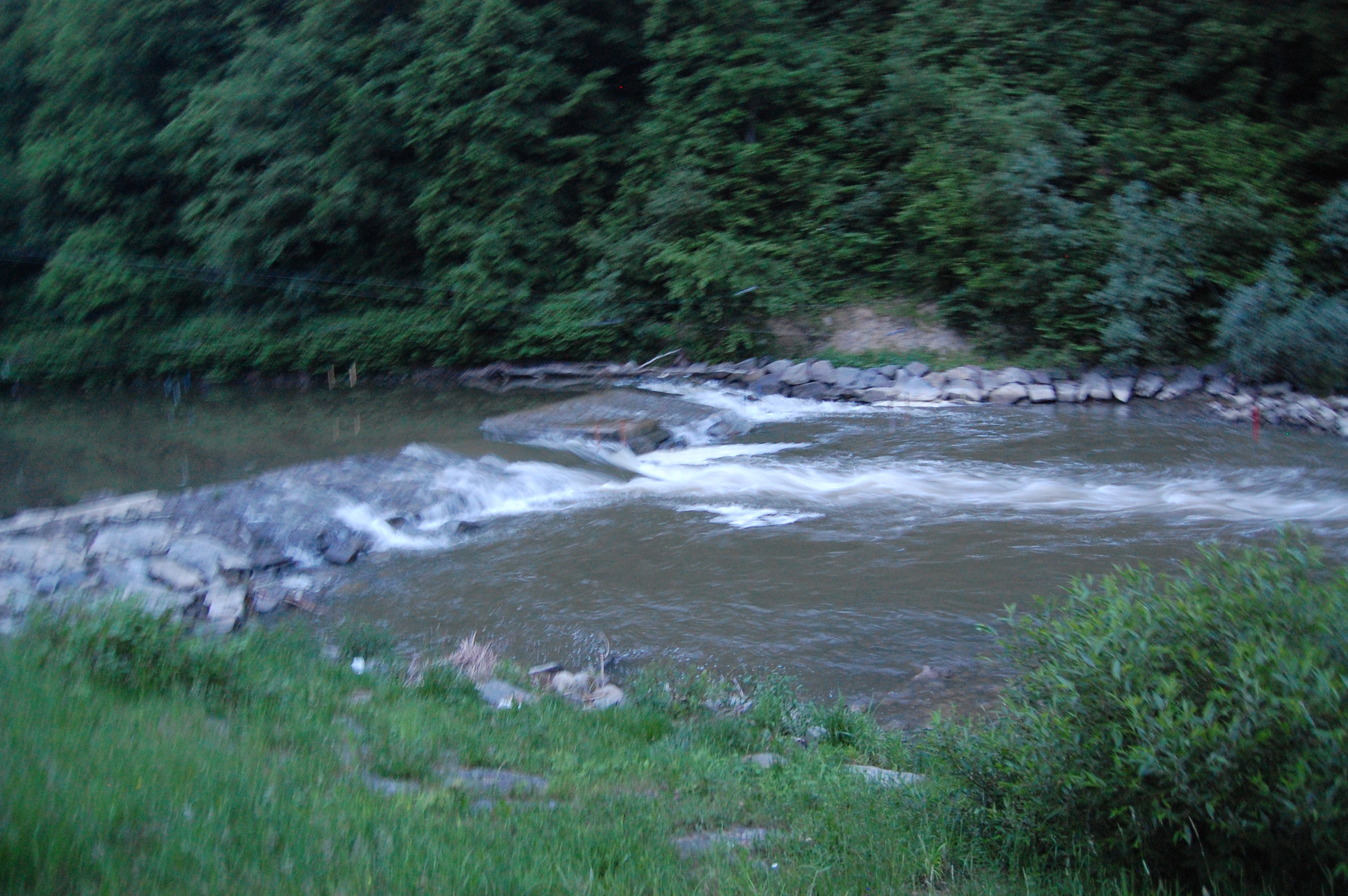 img00076.jpg