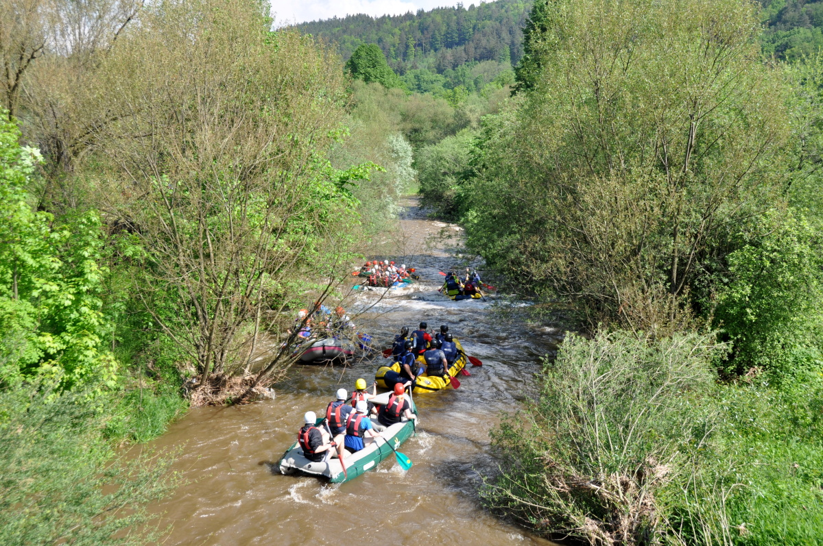 img00010.jpg