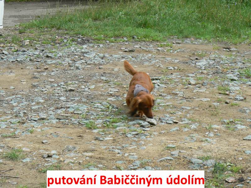 P1060816