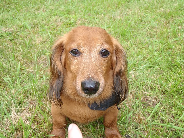 img00021.jpg