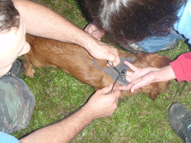 img00046.jpg