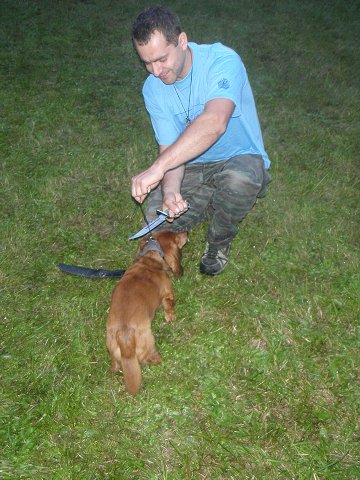 img00049.jpg