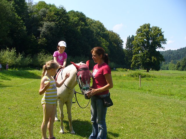 img00179.jpg