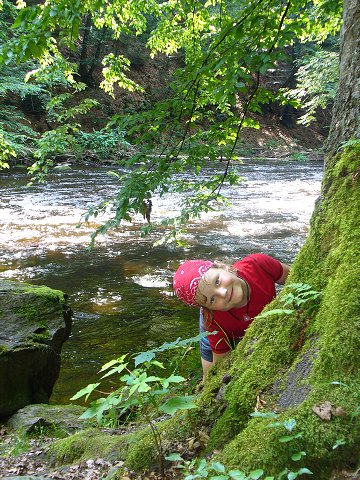 img00213.jpg