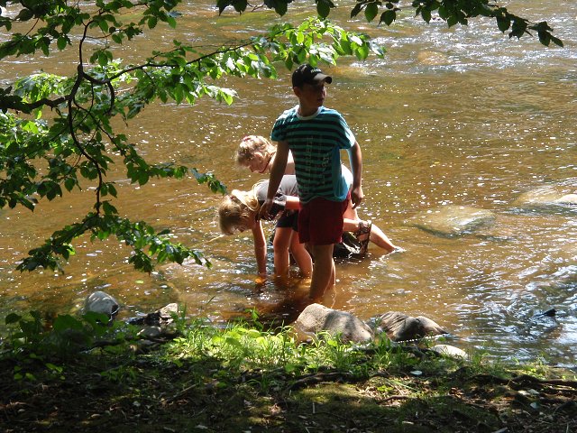 img00214.jpg