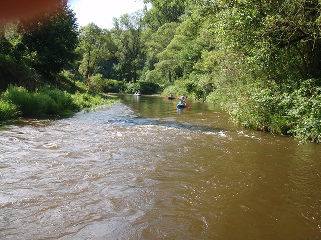 img00225.jpg