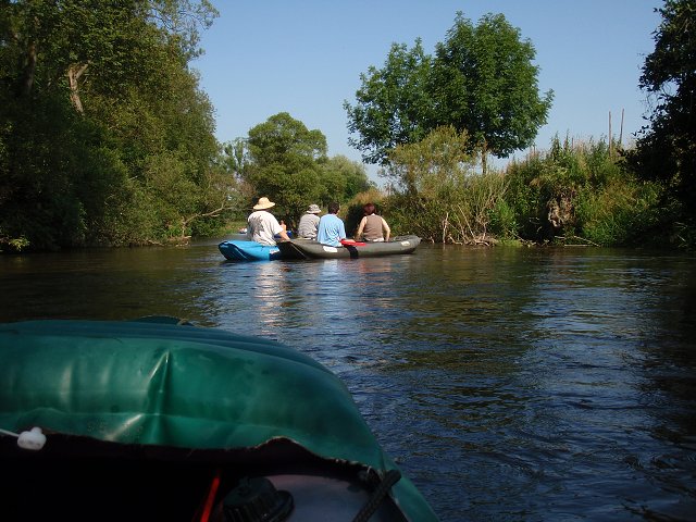 img00229.jpg