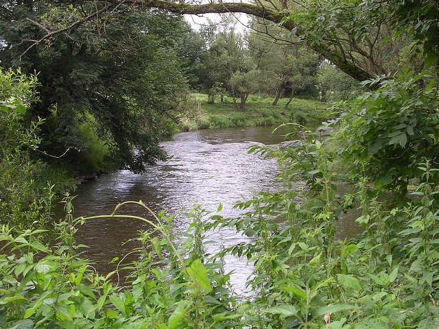 img00257.jpg