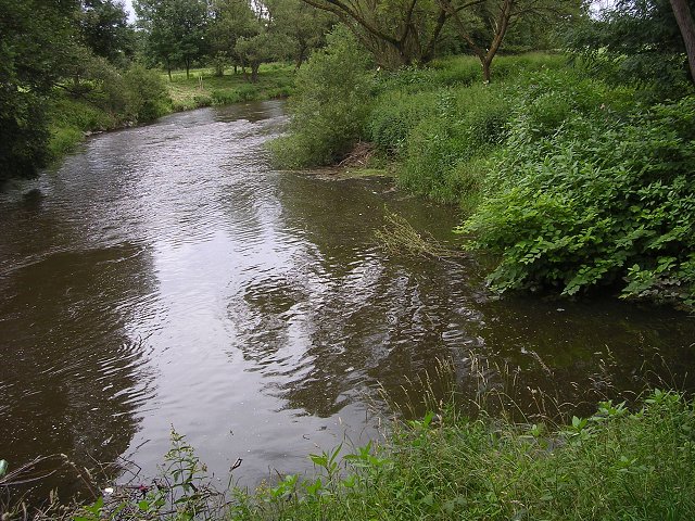 img00259.jpg