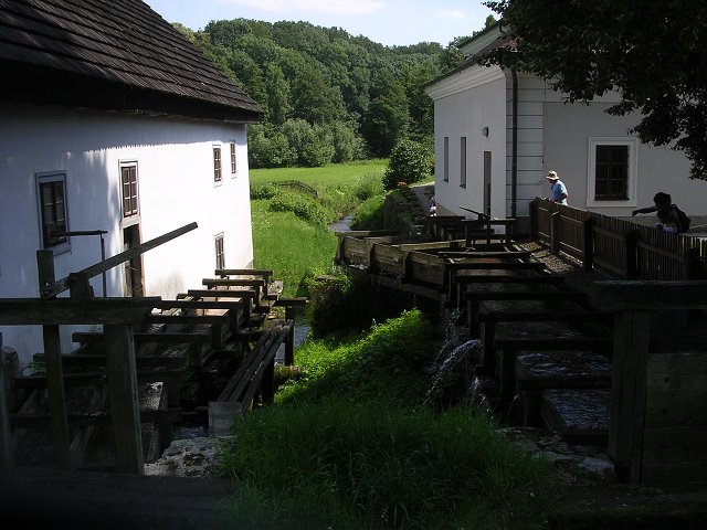 img00307.jpg