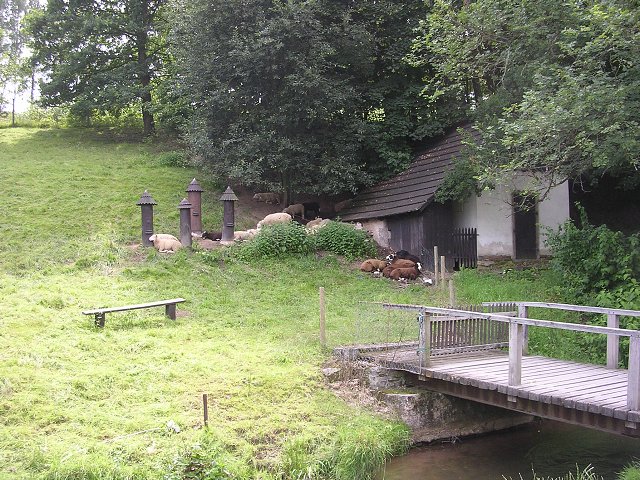 img00312.jpg