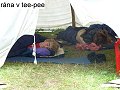 thn00097.jpg