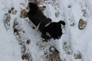 2017 zimní vycházka