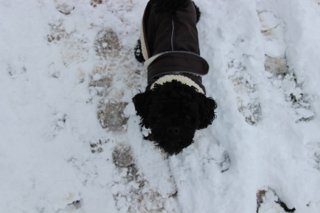 2017 zimní vycházka