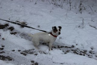 2017 zimní vycházka