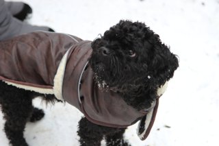 2017 zimní vycházka