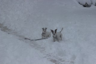 2017 zimní vycházka