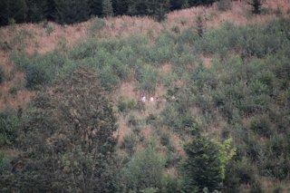 2020 U Ševečků na kopečku