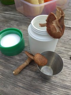 2021 zimní vycházka