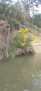 2022 Morava - Strážnice