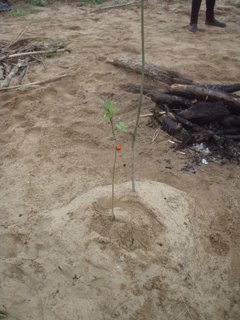 2022 Strážnice - Morava