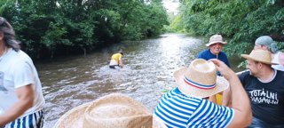 2023 Orlice od  Davida