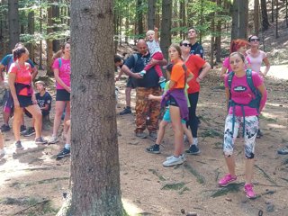 2023 Orlice od  Davida