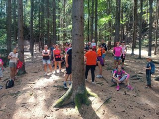 2023 Orlice od  Davida