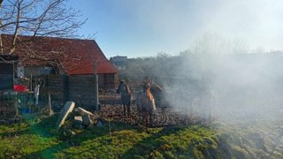 2023 zimní vycházka