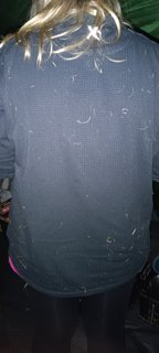 2024 letní Orlice stavěcí