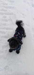 2025 Radhošť lyže