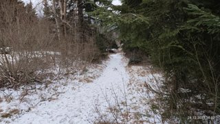 2025 Zimní vycházka