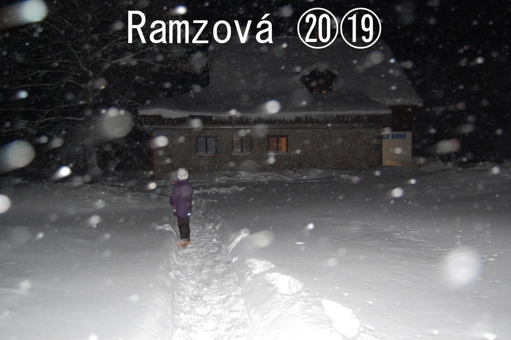 Ramzov 2019