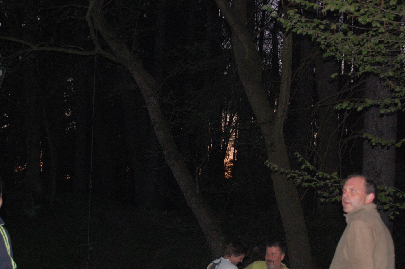 img00076.jpg
