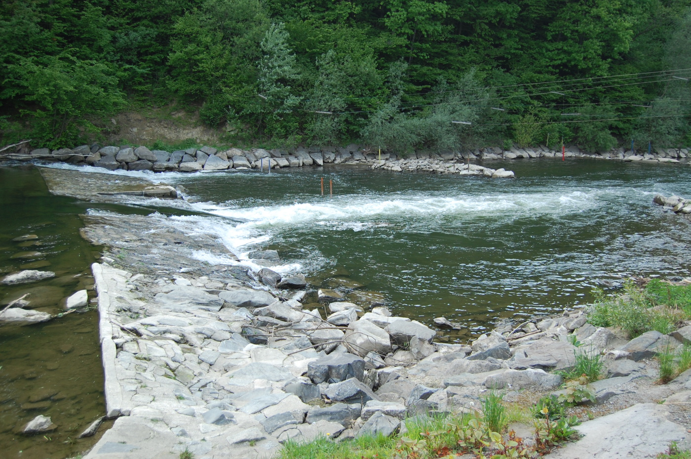 img00207.jpg